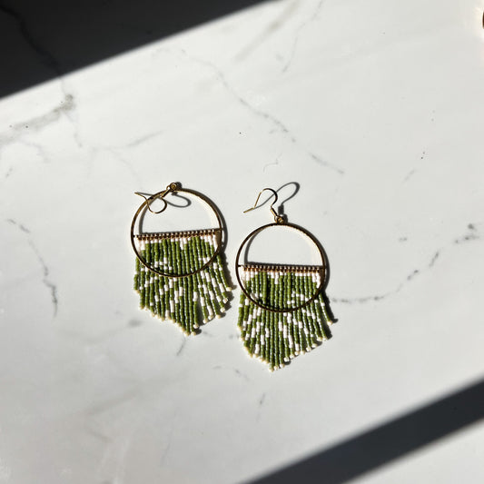 MONSTERA FRINGE