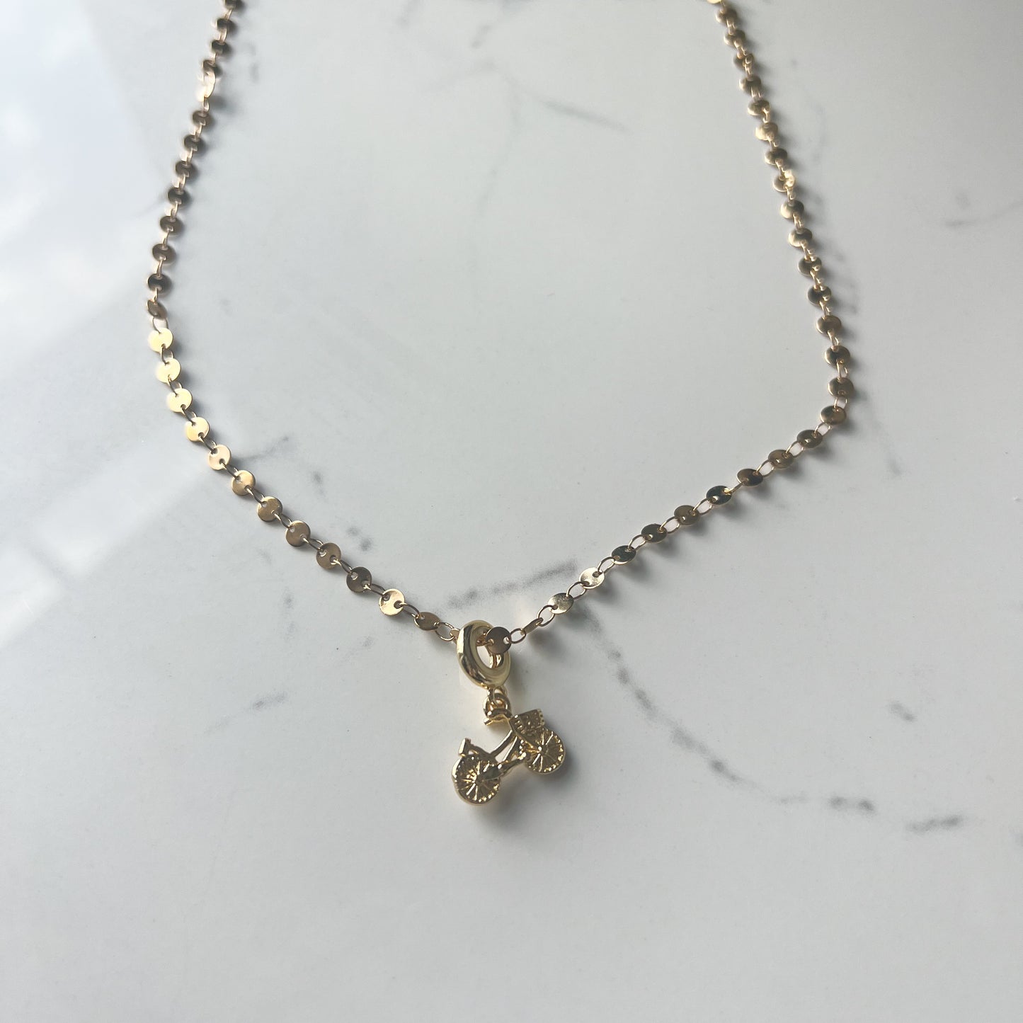 BEACH CRUISER COIN NECKLACE