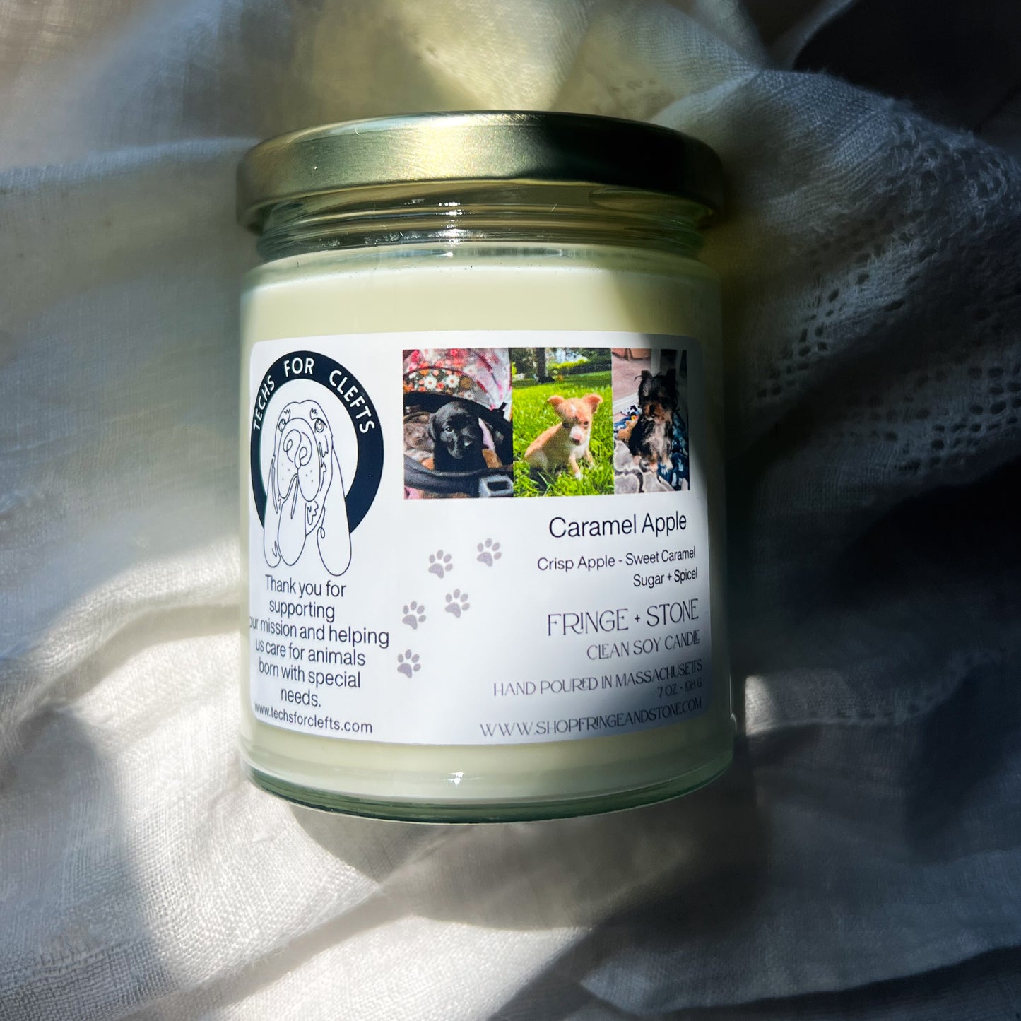 CANDLE FOR A CAUSE - TECHS FOR CLEFTS