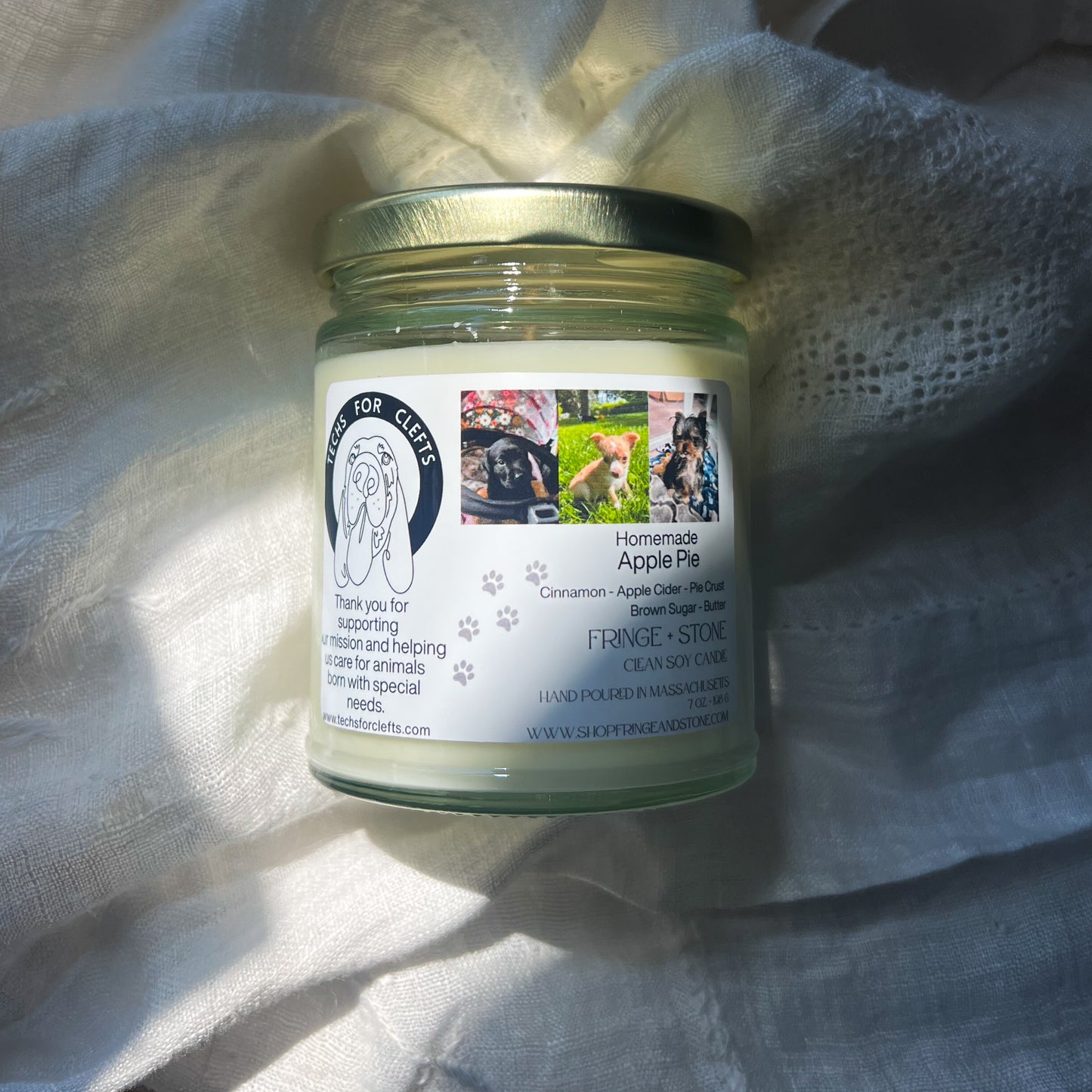 CANDLE FOR A CAUSE - TECHS FOR CLEFTS