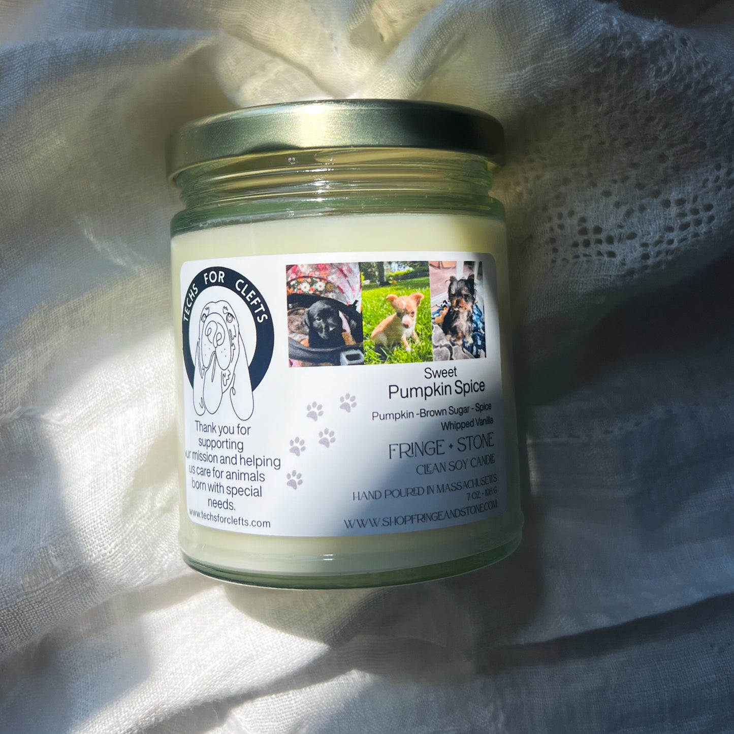 CANDLE FOR A CAUSE - TECHS FOR CLEFTS