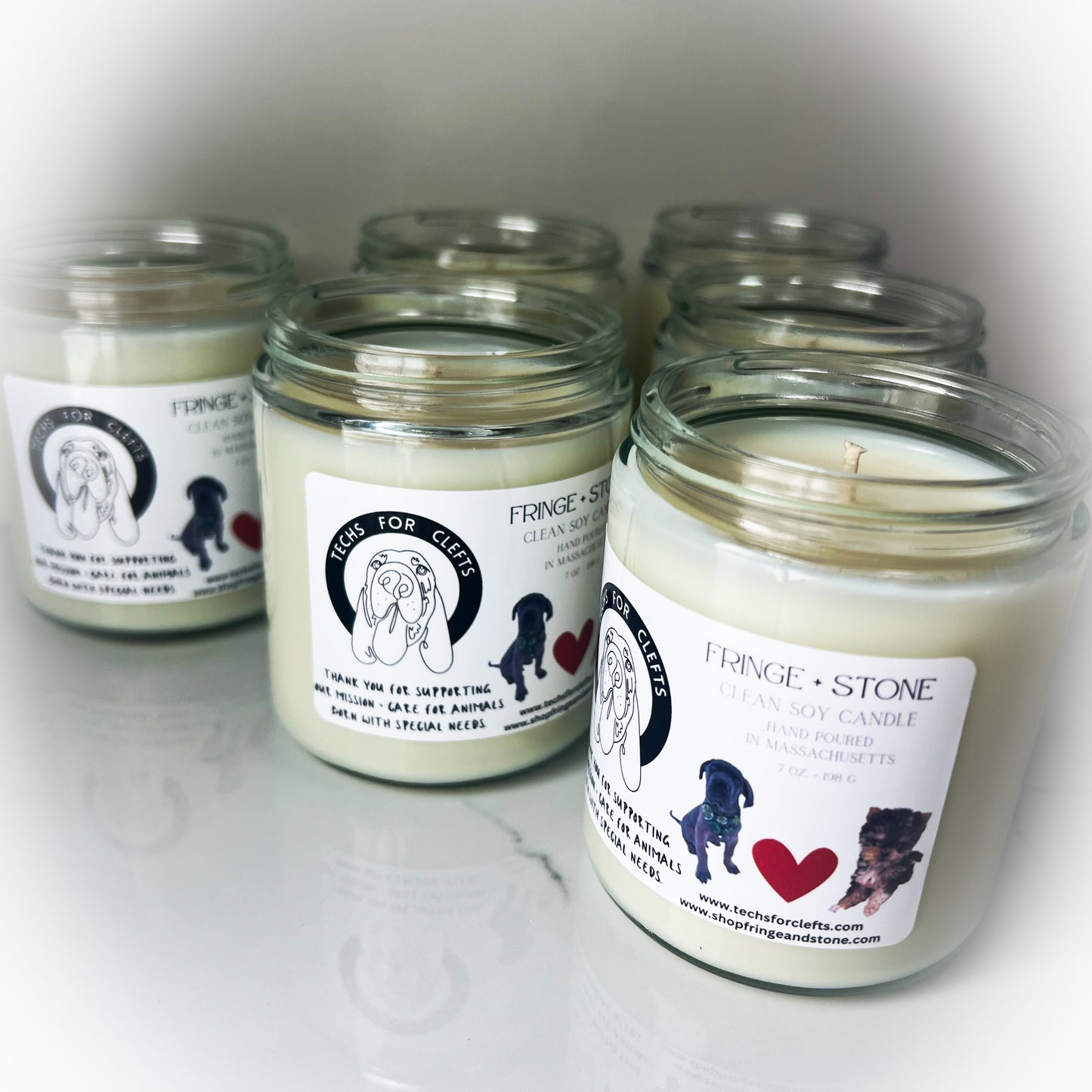 CANDLE FOR A CAUSE - TECHS FOR CLEFTS